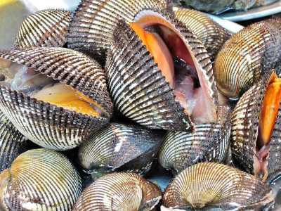 Le noci reali (cuori) - Simili ai tartufi sono caratterizzati per la presenza di una "lingua" rossa al loro interno